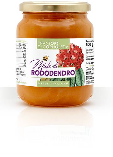 Rododendro